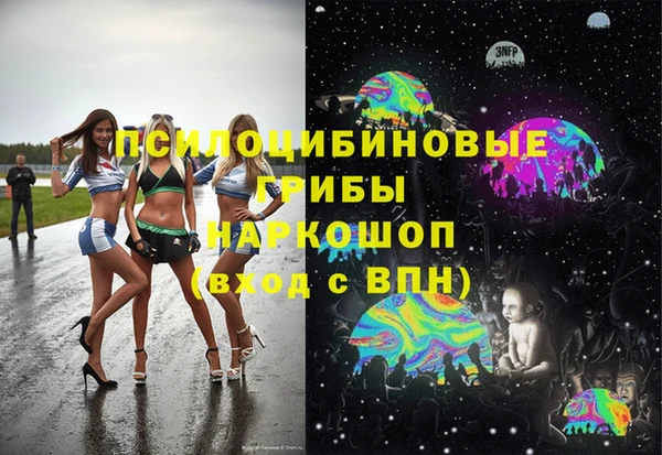 дмт Алексин