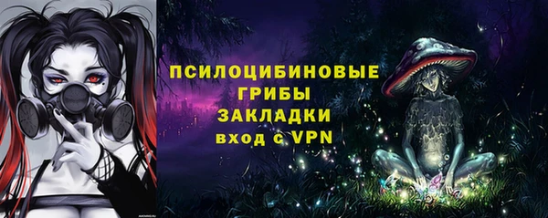 дмт Алексин