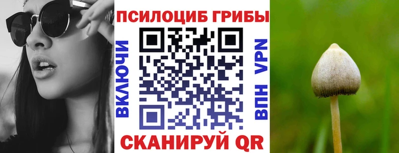ОМГ ОМГ   darknet официальный сайт  Галлюциногенные грибы GOLDEN TEACHER  Багратионовск 